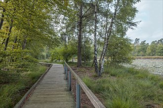 Schwattet Gatt nature conservation and FFH area, remnant of raised bog, boardwalk, still water