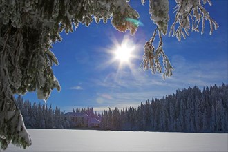 Frozen Mummelsee in winter, Bühlertal, Black Forest, Baden-Württemberg, Germany, Europe