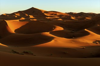 Morocco, Erg Chebbi desert, dunes, Africa