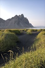 Black beach with volcanic sand, sandy beach, dunes with grass, Stokksnes headland, Klifatindur