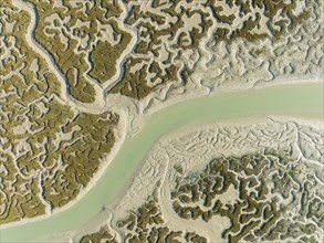 Network of channels and streams at low tide, in the marshland of the Bahía de Cádiz, aerial view,