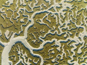 Network of dry channels and streams at low tide, in the marshland of the Bahía de Cádiz, aerial