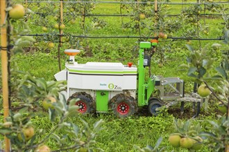 SMEKUL workshop, fruit and wine growing: Field day, robotics solutions for fruit and wine growing,