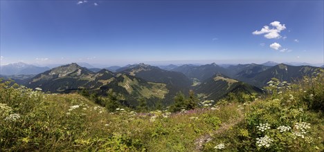 Panorama photo, mountain landscape, view from the Regenspitz to the Bergalm and Feichtensteinalm,