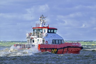 Njord Snipe, catamaran operated by Njord Offshore Ltd, crew transfer vessel for offshore windfarm