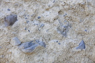 Close up of composed sedimentary sandstone rock at the Earth pyramids, Hoodoos in the Bow Valley,