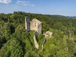 Aerial view of the Altbodman Ruin, Bodman-Ludwigshafen, Constance County, Baden-Württemberg,