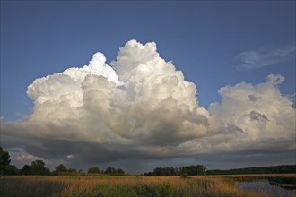 (Cumulus) clouds over the moor at the river Trebel, weather, Peene Valley River Landscape nature