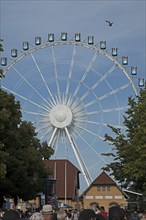 Ferris wheel, Hanse Sail, Warnemünde, Rostock, Mecklenburg-Western Pomerania, Germany, Europe