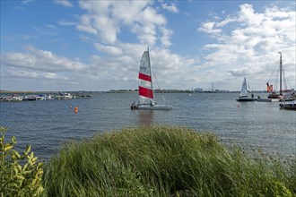 Sailing boats, Rügen Bridge, Altefähr, Rügen Island, Mecklenburg-Western Pomerania, Germany, Europe