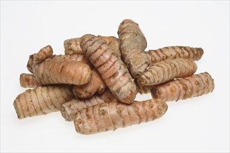 Turmeric (Curcuma longa) or curcume, yellow ginger, saffron root, turmeric, plant species of the