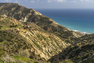 Landscape at Cape Aspro near Pissouri, Cyprus, Europe