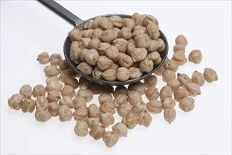 Chickpeas (Cicer arietinum), field pea, legume family