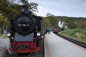 The Rasender Roland steam locomotive, Rügen Island, Mecklenburg-Western Pomerania, Germany, Europe