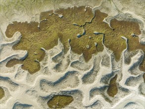 Network of dry channels and streams at low tide, in the marshland of the Bahía de Cádiz, aerial