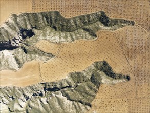 Canyons and gorges cut into the surrounding cultivated land, aerial view, drone shot, Gorafe