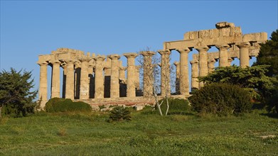 Temple E, Hera Temple, Green Meadow, Selinunte, Archaeological Site, Temple, Southwest Sicily,