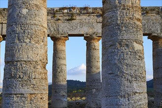 Evening light, Doric temple, detail. Columns seen through gap in columnsSegesta, Ancient Site,