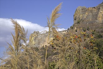 Eroded sandstone rock formations and tall grass in the Isalo National Park near Ranohira, Ihosy,