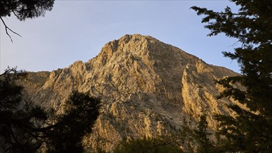 Morning light, Gingilos, trees, cloudless blue sky, Samaria Gorge, Samaria, gorge, national park,