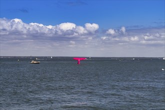 Pink buoy, sculpture of a fluke and boats in the Bay of Arcachon, Gironde, Aquitaine, France,