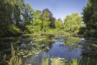 The Water Lily Pond in summer, garden at the home of Impressionist painter Claude Monet in Giverny,