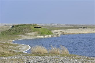 Hunting blind, hut along lake for shooting ducks, Bay of the Somme, Picardy, France, Europe