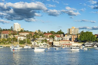 Manly harbour, Sydney, New South Wales, Australia, Oceania