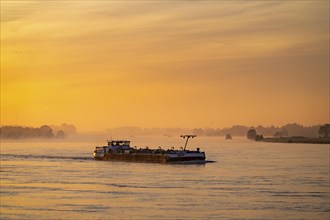 Cargo ships on the Rhine near Emmerich, early morning, sunrise, fog, mist on the river, North