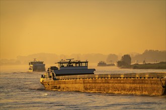 Cargo ships on the Rhine near Emmerich, early morning, sunrise, fog, mist on the river, North