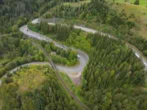 Winding road through a green forest on a hill, Calw, Black Forest, Germany, Europe