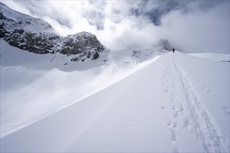 Ski tourers in a snowy mountain landscape, ascent to the Wildhorn, cloudy mood, high tour, Bernese