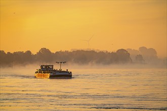 Cargo ships on the Rhine near Emmerich, early morning, sunrise, fog, mist on the river, North