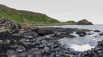 A landscape view of the many volcanic basalt columns of the Giant's Causeway in Northern Ireland