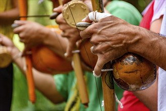 Hands of a musician playing an Afro Brazilian percussion musical instrument called a berimbau