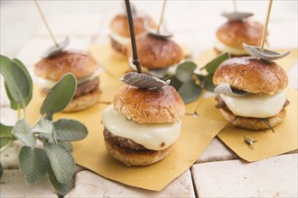 Small hamburger meat and cheese with sage leaves