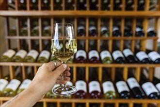 Hand holding a glass of white wine selective focus view, tasting room wines bottles display on