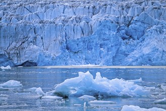 Glacier by the sea in the arctic