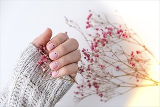 Woman hands with beautiful nude manicure holding delicate pink Gypsophila or baby's breath flowers.