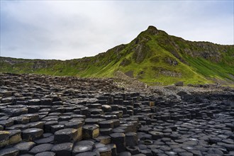 A view of the many volcanic basalt columns of the Giant's Causeway in Northern Ireland