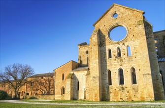 Photo shoot of the famous roofless church of San Galgano in the lands near Siena Italy