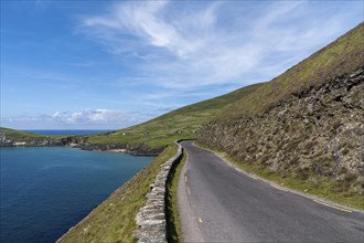 The Wild Atlantic Way coastal road on Dingle Peninsula in County Kerry of western Ireland