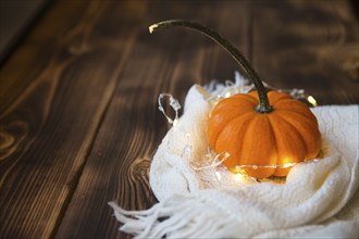 Orange pumpkin wrapped in a warm white plaid with lights of garlands on a wooden table with