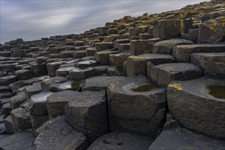 A view of the many volcanic basalt columns of the Giant's Causeway in Northern Ireland