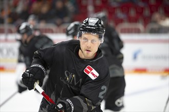 PSD Bank Dome, Düsseldorf, North Rhine-Westphalia, Juhani Tyrvaeinen (Koelner Haie, #21), PENNY