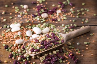 Mixed seed legumes in a spoon on old wooden table