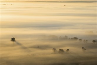 Aerial view at morning mist at sunrise