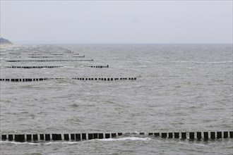 On the Baltic Sea near Koserow, Usedom, September, Mecklenburg-Western Pomerania, Germany, Europe