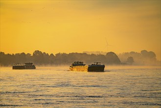 Cargo ships on the Rhine near Emmerich, early morning, sunrise, fog, mist on the river, North