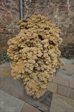 Sand rose as a bizarre rock formation, gypsum rose, desert rose, baryte rose, rock, mineral,